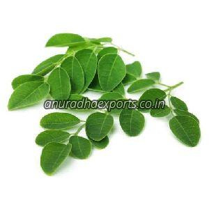 Natural Moringa Leaves