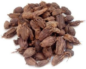 Organic Black Cardamom