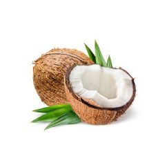 Fresh Coconut