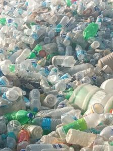 Pet Bottle Scrap (7775905738)