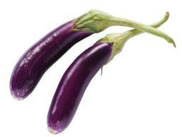 Fresh Brinjal