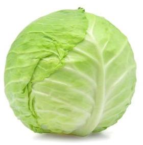 Fresh Cabbage