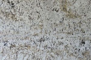 Alaska White Gold Granite Slab