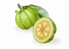 Garcinia