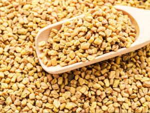 Fenugreek Seeds