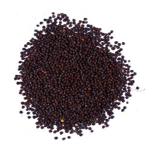 Brown Mustard Seeds