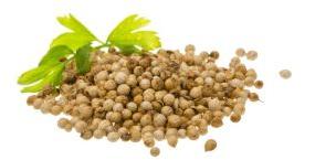 Coriander Seeds