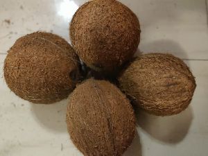 Coconut