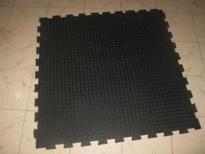 Rubber Coin Top Mat (Stable Mat)