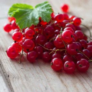 Fresh Cherry