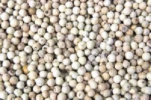 Natural White Pepper Seeds
