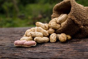 Shelled Groundnut