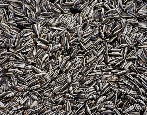 Sunflower Seeds