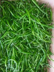 Natural Green Chilli