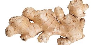 Fresh Ginger