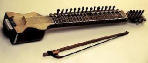 Dilruba Instrument