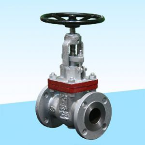 Cast Steel Globe Valve