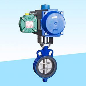 Centric Butterfly Valve