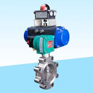 Double Offset Butterfly Valve