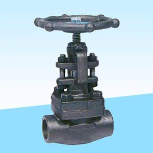 Forged Steel Globe Valve