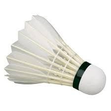 Badminton Shuttlecock