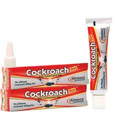 Cockroach Gel