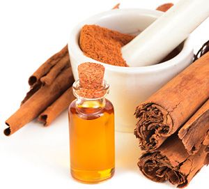 Cinnamon Bark Oil