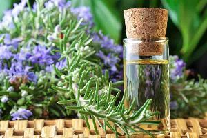 Rosemary Oil