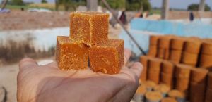 Natural Jaggery Cubes