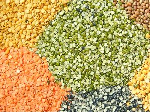 Organic Pulses