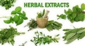 Herbal Extract