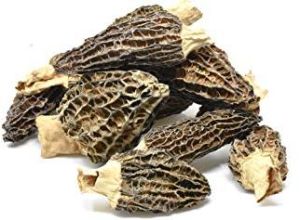 Extra Grade Dried Morels