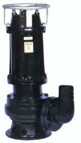 Cast-Iron Sewage Pump