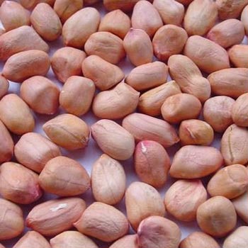 Peanuts Without Shell