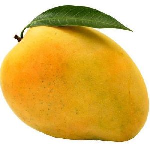 fresh organic mango