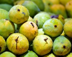 Fresh Amrapali Mango