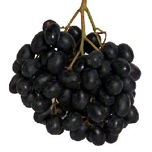 Fresh Black Seedless Grapes