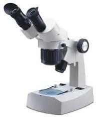 Stereo Microscopes