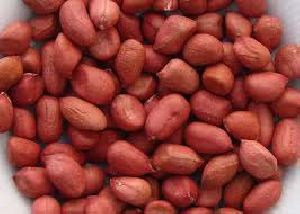 Groundnut Kernels