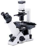 Inverted Microscope