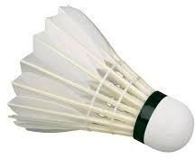 Badminton Shuttlecock