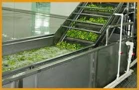 Vegetable Washing Machine