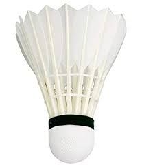 Badminton Shuttlecock