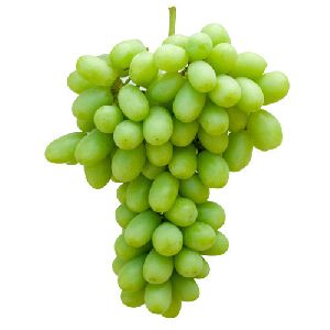 Fresh Thomson Grapes