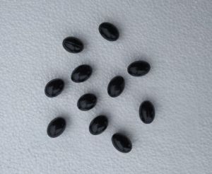 Kalonji Oil Softgel Capsules