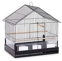 Parrot Cage