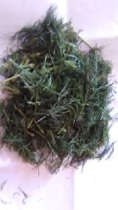 Dried Dill Leaves