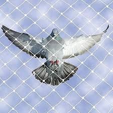 Anti Bird Net