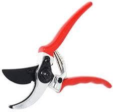 Pruning Shear