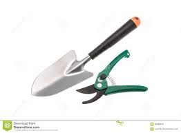 Pruning Trowel